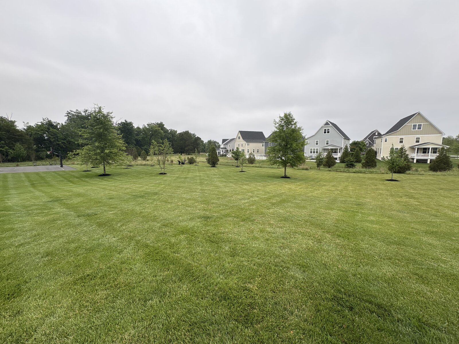 Freshly mowed lawn with crisp lines in Loudoun County, VA