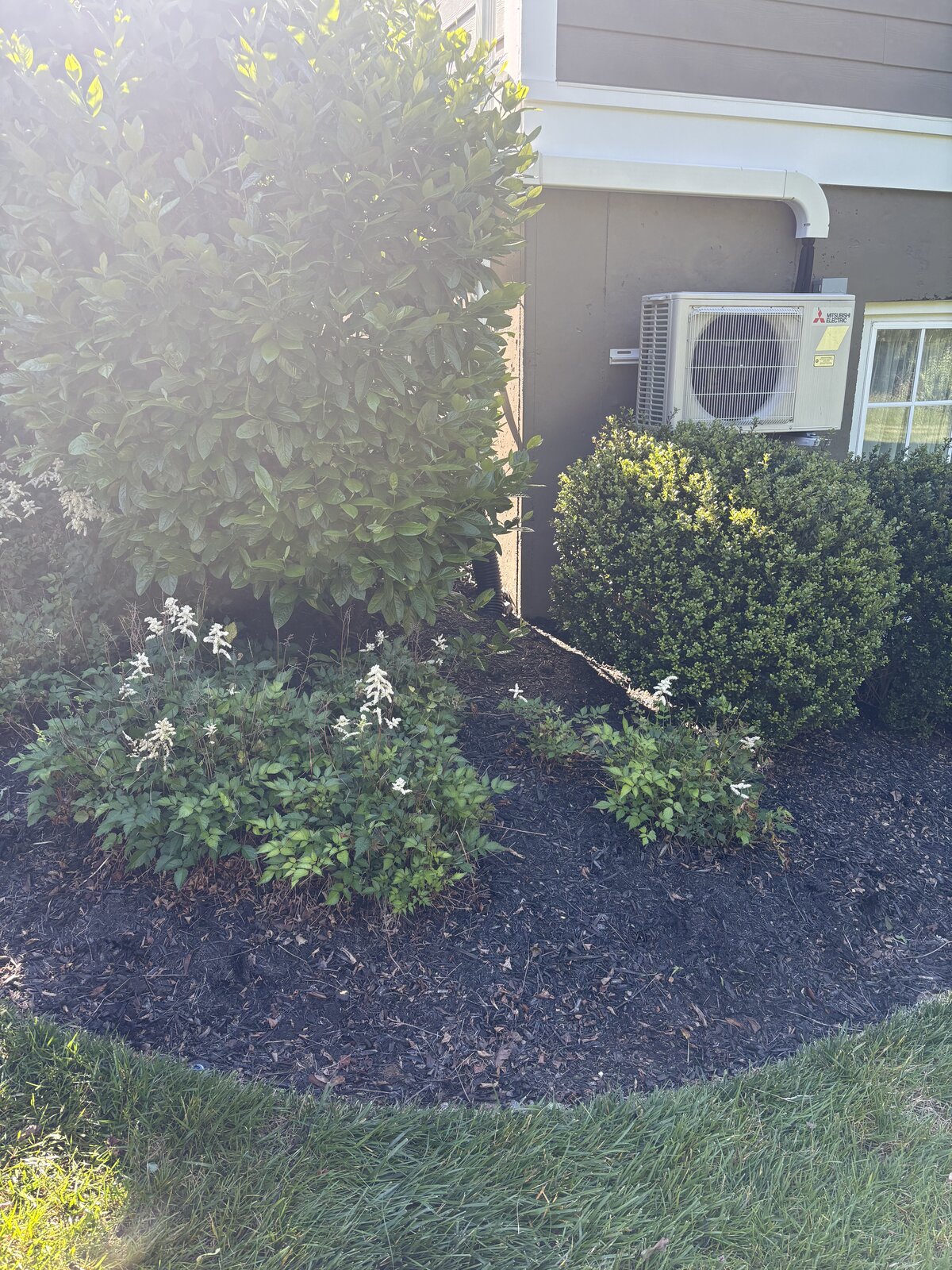 Clean mulch bed after weeding by The Yard Bros